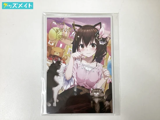 ときのそら 活動6周年記念 そらと一緒抱き枕カバー 買取実績価格