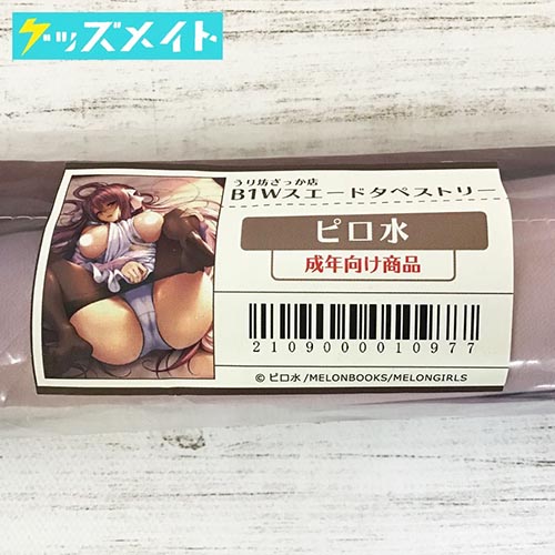【未開封】 うり防ざっか B1Wスエード タペストリー ピロ水 買取