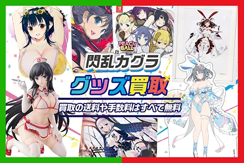 【閃乱カグラグッズ買取】フィギュア・マウスパッド・抱き枕カバー等を高価買取