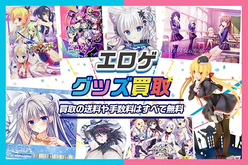 【エロゲ】グッズ・ゲーム・抱き枕カバー・タペストリー等を高価買取