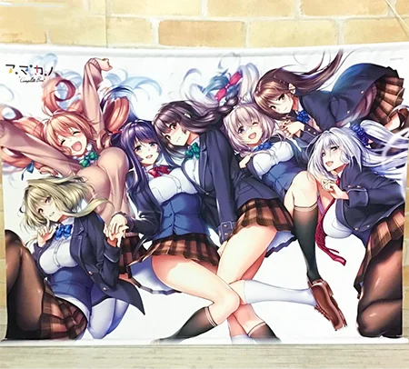 アマカノ コンプリートボックス ピロ水 描き下ろし Wスエード A1タペストリー あざらしそふと 買取