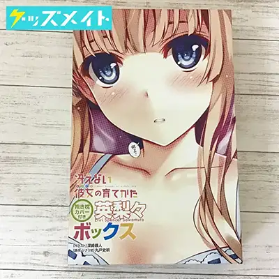 冴えない彼女の育てかた 抱き枕カバー付き 英梨々ボックス 深崎暮人 冴えカノ 澤村・スペンサー・英梨々