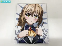 ゴブリンスレイヤー 受付嬢 抱き枕カバー FaNeMa 買取実績価格