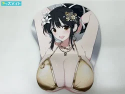 閃乱カグラ 飛鳥 等身大おっぱいマウスパッド 10周年記念ver. 買取実績価格