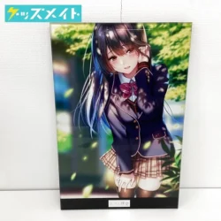 メロンブックス ピロ水オンリーショップ メタライズアート はにかみ彼女 水澄華実 買取実績価格