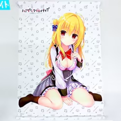 ハミダシクリエイティブ 和泉妃愛 B2タペストリー 買取実績価格
