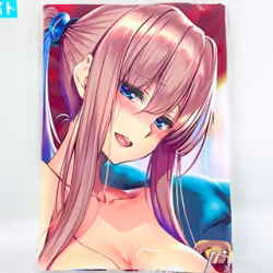 メガストア25周年記念イラスト ピロ水 Side A B2タペストリー  買取実績価格