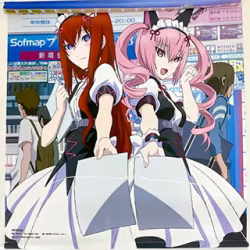 STEINS;GATE 紅莉栖＆フェイリス 描き下ろしビッグタペストリー ソフマップ予約購入チケット交換景品 買取実績価格
