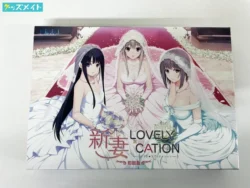 hibiki works 新妻LOVELY×CATION windows 10 等 対応 買取実績価格