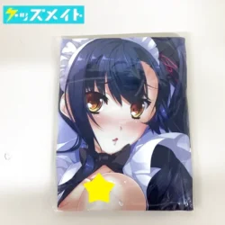 C92 BaseSon 真・恋姫†夢想 関羽 愛紗 抱き枕カバー ラヴァーズメイドver. 片桐雛太 買取実績価格