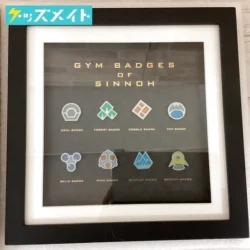ポケモンセンター限定 ポケットモンスター ジムバッジコレクションコンプリートセット シンオウ ポケモン 買取実績価格