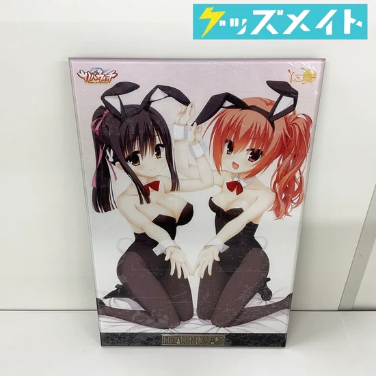 ゆずソフト サノバウィッチ メタライズアート 買取実績価格