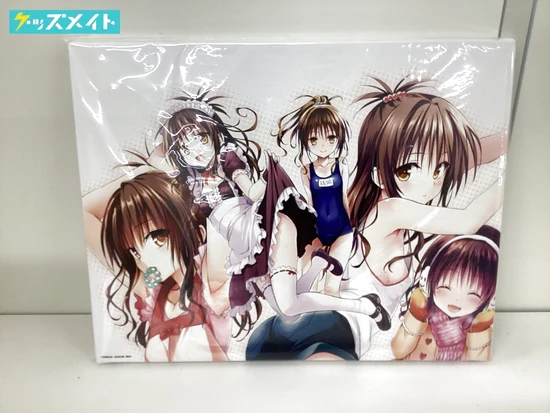 ToLOVEる 15周年記念原画展 グッズ キャンバスアート F6サイズ 結城美柑集合 買取実績価格