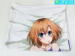 SHIROBAKO 宮森あおい 抱き枕カバー 買取実績価格