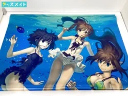 魔法使いの夜 蒼崎青子＆久遠寺有珠＆久万梨金鹿 特大B0タペストリー 通販限定 買取実績価格