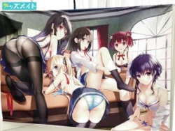 冴えない彼女の育てかた ANIPLEX+全巻連動購入特典 深崎暮人描き下ろしB0タペストリー