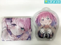 姫森ルーナ 新衣装記念2022 誕生日記念2021 抱き枕カバー おっぱいマウスパッド まとめ売り 買取実績価格
