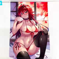 どこプラ ハイスクールD×D A賞 リアス・グレモリー 三色網戸。先生描き下ろしB2タペストリー 買取実績価格