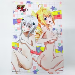 ハイスクールD×D HERO Blu-ray/DVD ゲーマーズ全巻購入特典 小猫＆レイヴェル アニメ描き下ろしイラスト使用B2シャペストリー 買取実績価格